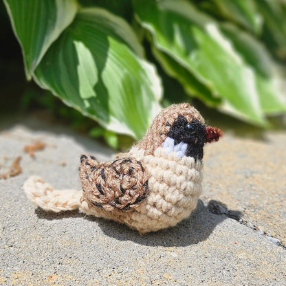Sparrow
